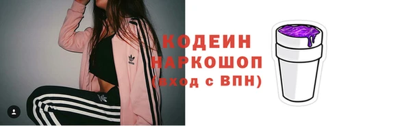 индика Снежногорск