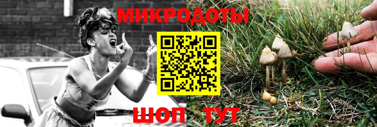 Алатырь  Псилоцибиновые грибы GOLDEN TEACHER  Вход с VPN  Псилоцибиновые грибы прущие грибы 